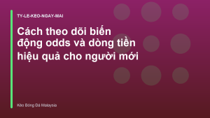 Read more about the article Cách theo dõi biến động odds và dòng tiền hiệu quả cho người mới